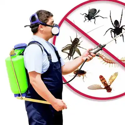 pest control West Plains